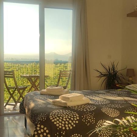 Thalassa Seaside Boutique Beach Apartment 폴리스 외부 사진