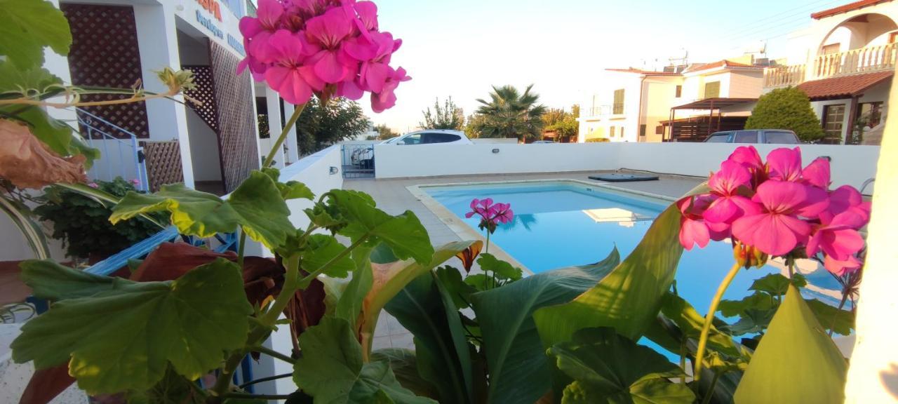 Thalassa Seaside Boutique Beach Apartment 폴리스 외부 사진